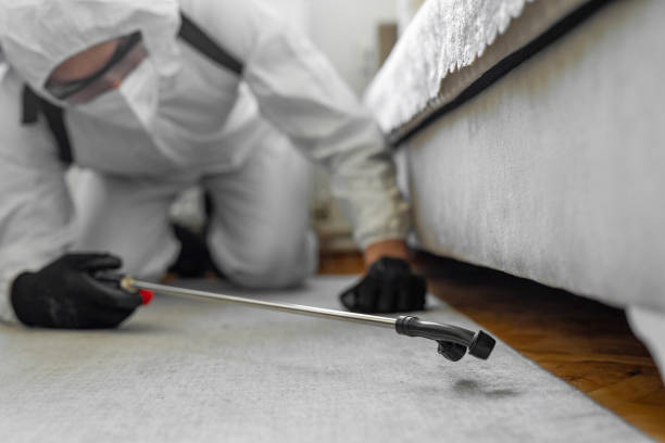 Professional Bed Bug Control technician working in Minot, ND