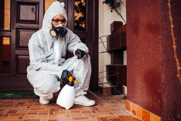 Reliable Bed Bug Control contractor in Minot, ND by Nex Pest Control